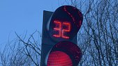 Traffic Signal Countdown Timer on Windy Weather with Trees and Dark Sky