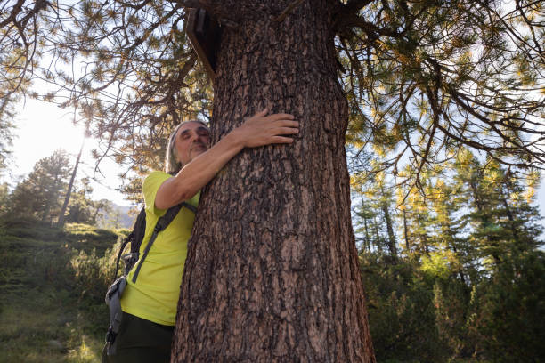 istock A man with a backpack stands, hugging a tree, in the backlit sunlight of the evening, Austria 1644325434