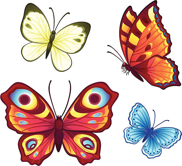 ilustrações, clipart, desenhos animados e ícones de vetor borboletas - small tortoiseshell butterfly