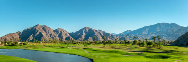 Late afternoon light cast a warm glow to a golf course in Palm Springs, California