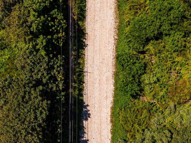 istock Top down view over a dirt road by the beach lined with lush green trees 1644352761