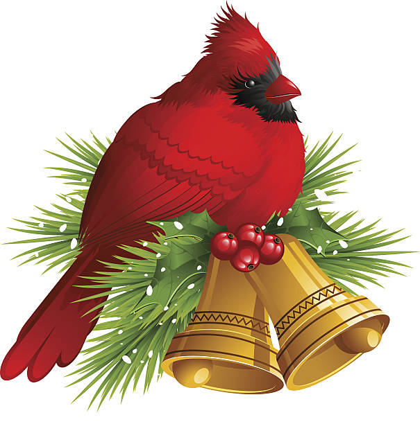 cardinal vogel mit weihnachten glocken - bush bird tree wood stock-grafiken, -clipart, -cartoons und -symbole