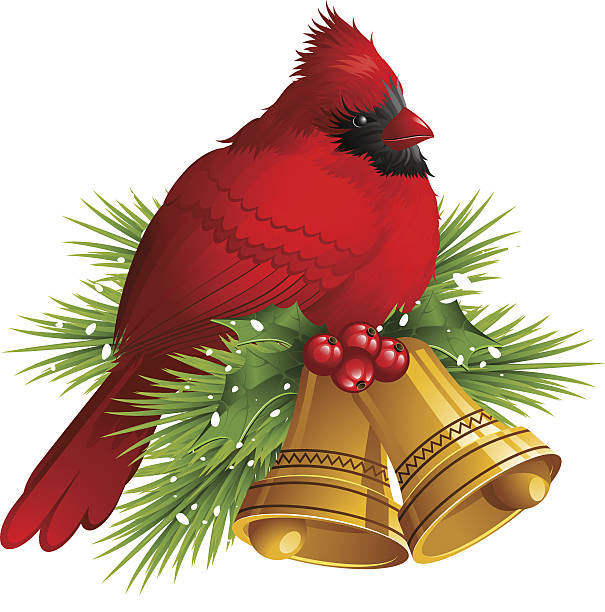 кардинал птица с рождественские колокола - jara stock illustrations