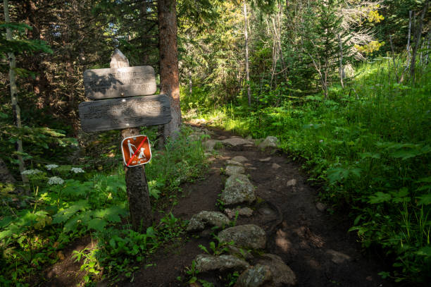 istock Entering Rocky Mountain National Park Sign In Wilderness 1644376498