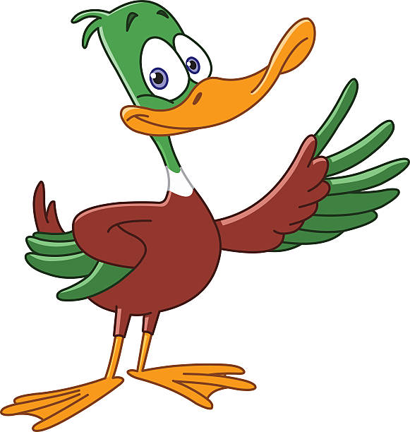 duck - erpel stock-grafiken, -clipart, -cartoons und -symbole