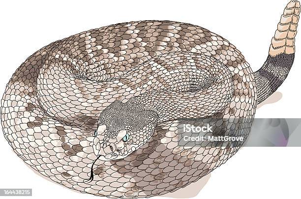 Rattlesnake Stock Illustration - Download Image Now - Rattlesnake, Biting, Animal