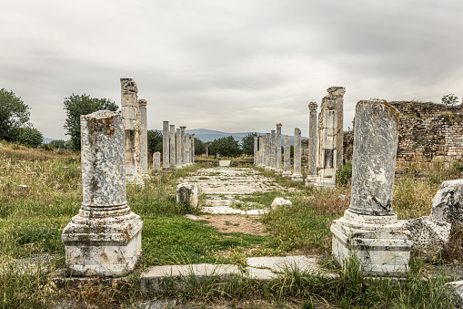 Ruins of the Theatre Baths in the ancient Greek city of Aphrodisias in western Anatolia, Aydin, Turkey.