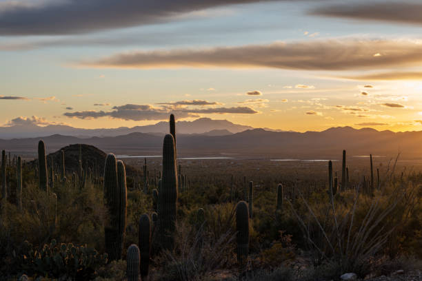 istock Las Guijas Mountains Silhouetted At Sunset from Saguaro 1644385588