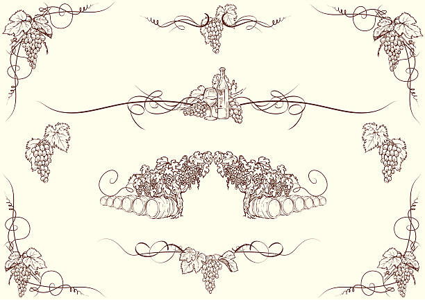Grape ornaments "Set of grape drawing ornaments, each of them group separately.ZIP contain AI12cs2 and PDF files." swirly vines stock illustrations