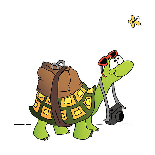 turtle vector art illustration