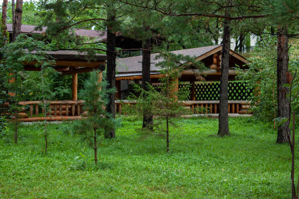 istock Leisure park area with trees and lawn after rain 1644394036