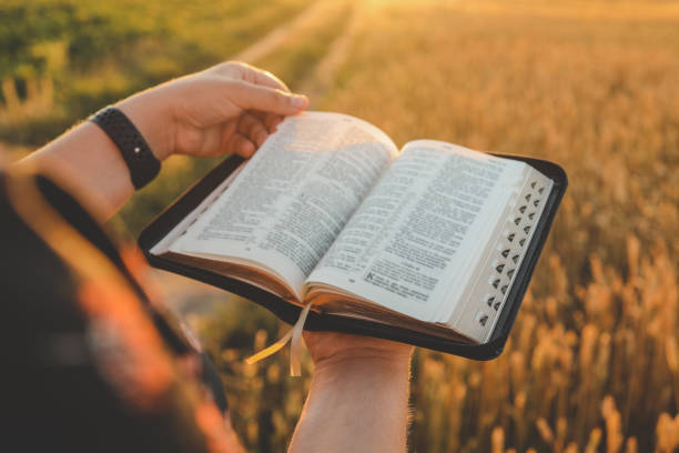 istock Open bible in hands, wheat field and road, christian concept 1644394298