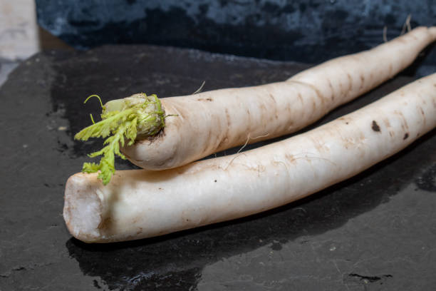 istock Fresh organic daikon radish on black background 1644395055