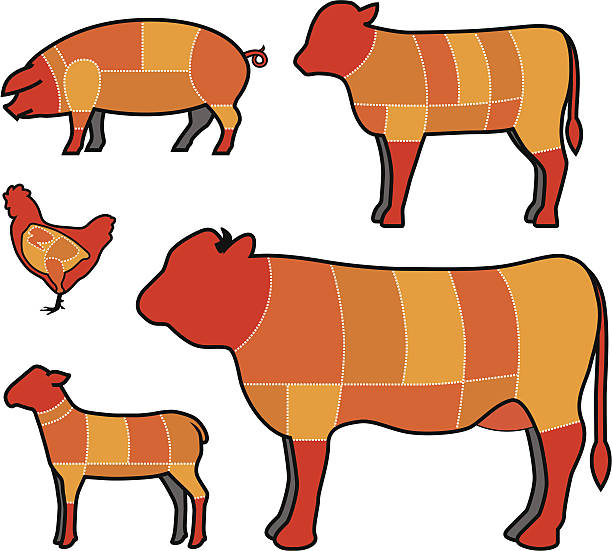 Couper la viande - Illustration vectorielle