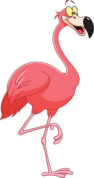 Flamingo Cartoon flamingo standing on one leg not exercising stock illustrations