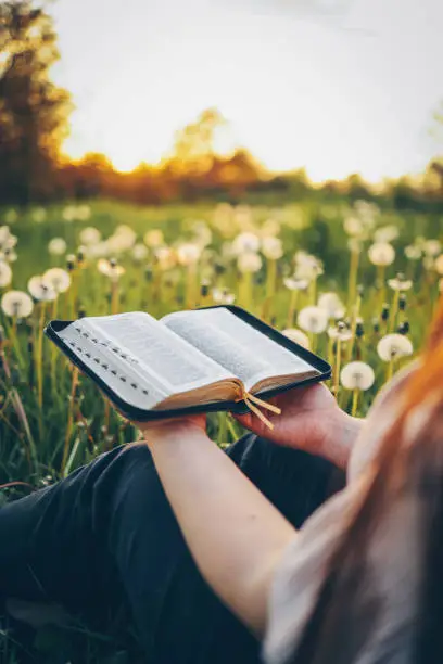 Photo of Christian woman holds bible in her hands. Reading the Holy Bible in a field during beautiful sunset. Concept for faith, spirituality and religion. Peace, hope