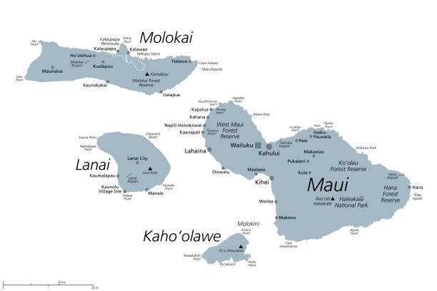 Maui County in the U.S. state Hawaii, gray political map Maui County in the U.S. state Hawaii, gray political map with Wailuku as seat. Consisting of islands of Maui, Lanai, Molokai, Kahoolawe and Molokini. With Kalawao County on the north coast of Molokai. kihei stock illustrations