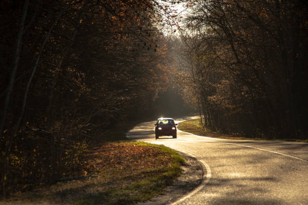 istock winding rual road with car inside colorful autumn forest 1644414600