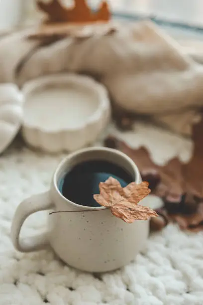 Photo of Cup of hot tea and a leaf, autumn mood