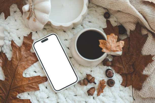 istock Phone with isolated screen and autumn decor, top view 1644414636