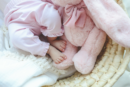 Cute newborn baby feet and pink plush toy.