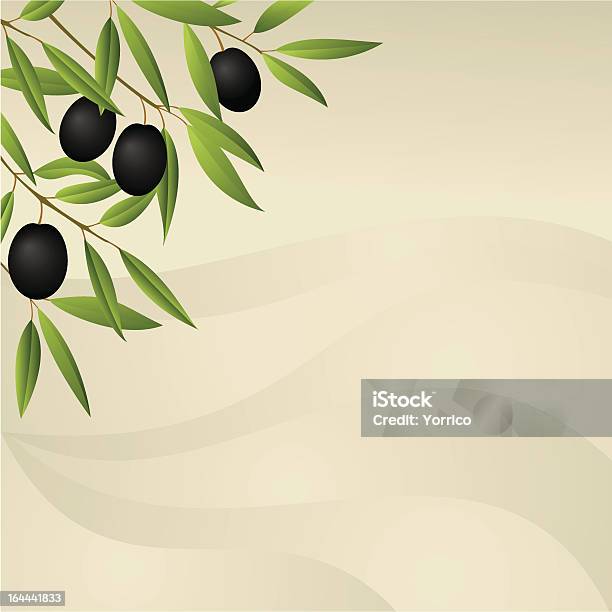 Olives — стоковая векторная графика и другие изображения на тему Антиоксидант - Антиоксидант, Без людей, Блестящий