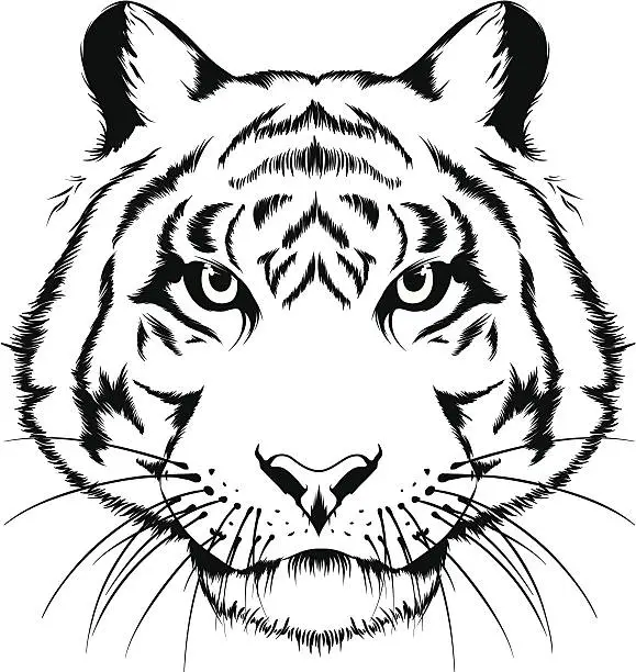 Vector illustration of Tiger head