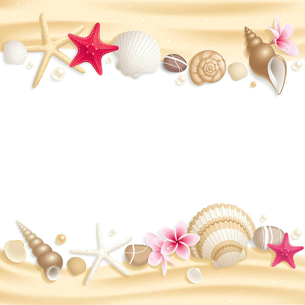 illustrazioni stock, clip art, cartoni animati e icone di tendenza di conchiglia frame - seashell shell sand copy space