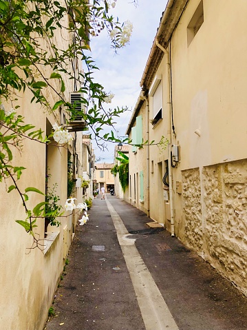 Alley in bloom in Aigues Mortes, Camargue