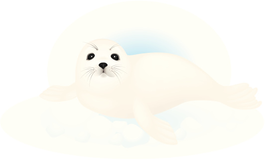 Harp seal pup lying on snow. Vector illustration