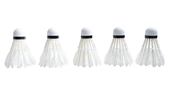 Multiple shuttlecocks are meticulously arranged against a pristine white background, capturing their lightweight and aerodynamic design. The isolation emphasizes the precision and uniformity of their form, drawing attention to the intricate details of each shuttlecock's feathers and base. This image encapsulates the essence of badminton, a dynamic and competitive sport that requires agility and precision. The contrast between the shuttlecocks and the white backdrop symbolizes the clarity and focus necessary for successful gameplay, inviting viewers to appreciate the artistry behind this athletic pursuit.