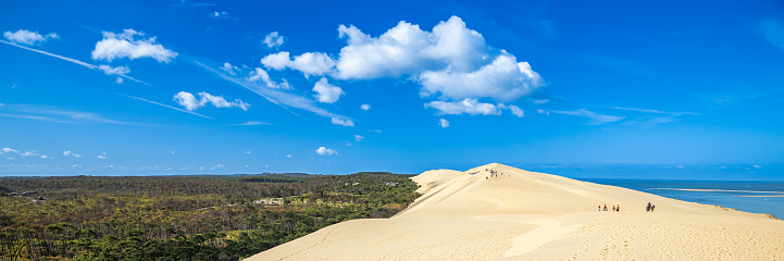 The nature reserve of the dunes of Schoorl, North Holland, Netherlands