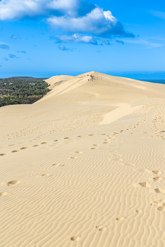 Foothpath trough a landscape of sand dunes