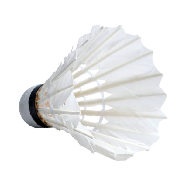 istock Close-up of Shuttlecock isolated on a white background 1644444080