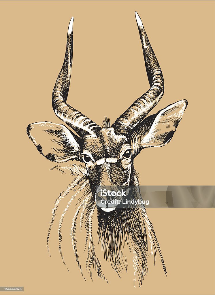 Nyala Croquis - clipart vectoriel de Adulte libre de droits