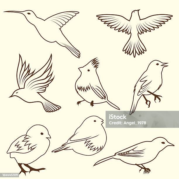 Set Di Schizzo Di Uccello Differnet - Immagini vettoriali stock e altre immagini di Colibrì - Colibrì, Ala di animale, Amore