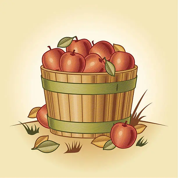 Vector illustration of Retro bushel of apples