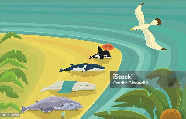 浜辺に打ち上げられたクジラ日光浴も - カモメ科のベクターアート素材や画像を多数ご用意 - カモメ科, マンガ, イラストレーション