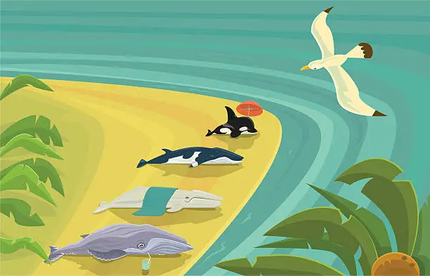 Vector illustration of Beached Whales Sunning Themselves