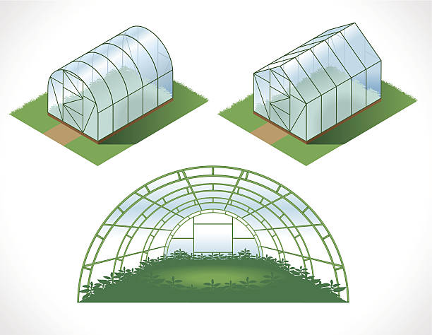 ilustrações de stock, clip art, desenhos animados e ícones de isometry estufas - greenhouse