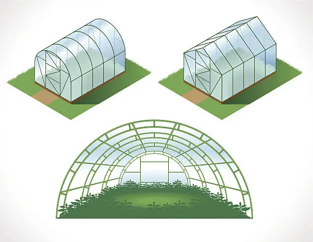 Vector illustration of isometry greenhouses