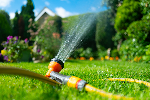 Irrigation system in home garden. Automatic lawn sprinkler watering green grass. Selective focus