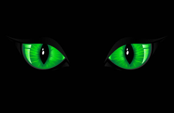 green cat eyes - hayvan gözü stock illustrations