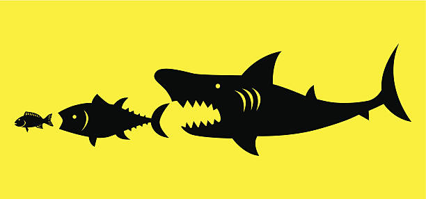 ilustrações de stock, clip art, desenhos animados e ícones de a lei natural - tuna fish silhouette saltwater fish