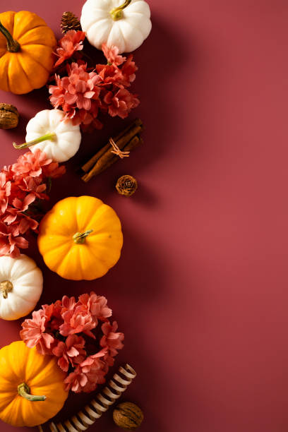 istock Flat lay composition with pumpkins, flowers, walnuts, cinnamon sticks on dark red background. Thanksgiving day, harvest concept. 1644474961