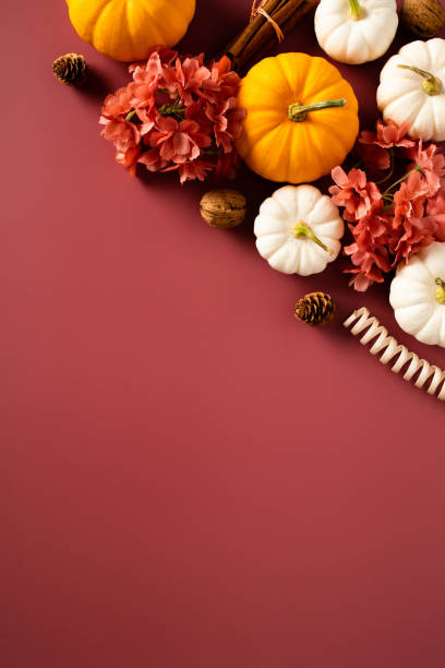 istock Happy Thanksgiving vertical banner design. Flat lay composition with pumpkins, flowers, fall decorations on red background. 1644479986