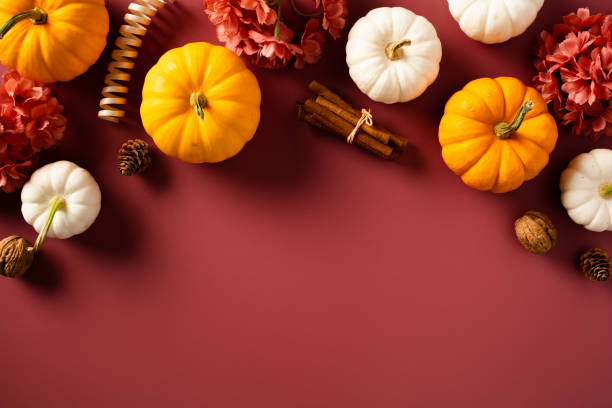 istock Frame of pumpkins, fall flowers, decorations, cinnamon sticks, walnuts on dark red background. Happy Thanksgiving day, Harvest, Halloween concept. Flat lay, top view, copy space. 1644484457