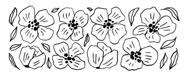 ilustrações de stock, clip art, desenhos animados e ícones de abstract linear peonies flowers collection - 7583