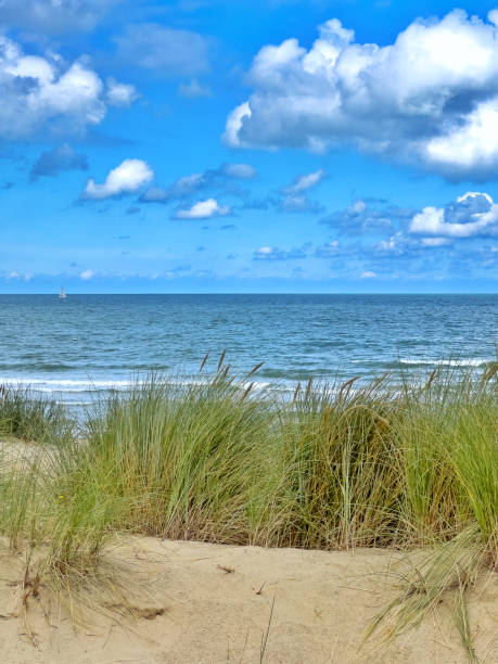 istock North Sea beach with sand dunes 1644485716