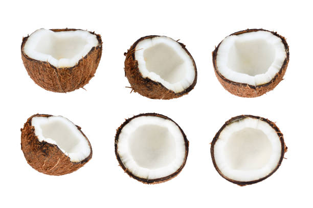 istock Coconut isolated on white background. Space for text or design. 1644487953
